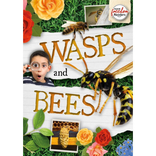 BookLife Publishing Wasps and Bees (häftad, eng)