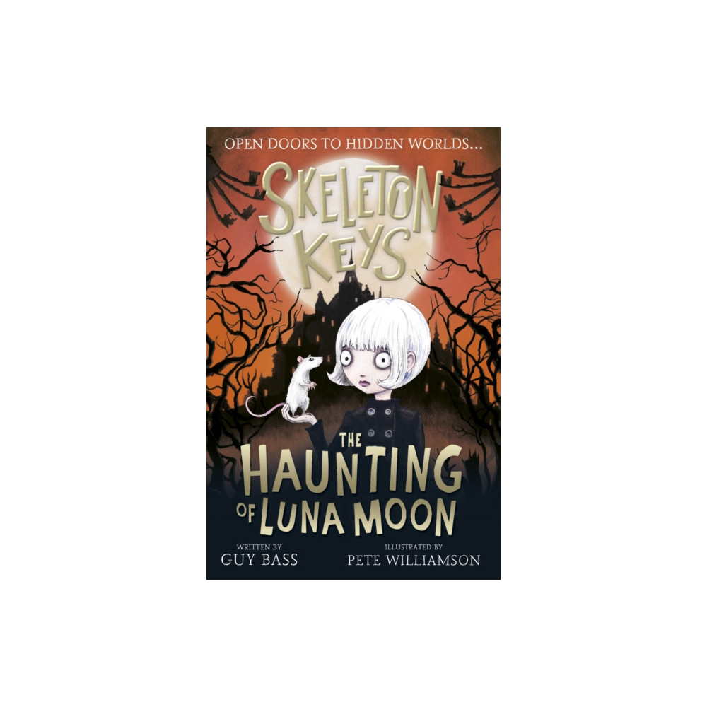 Produktbild för Skeleton Keys: The Haunting of Luna Moon (häftad, eng)