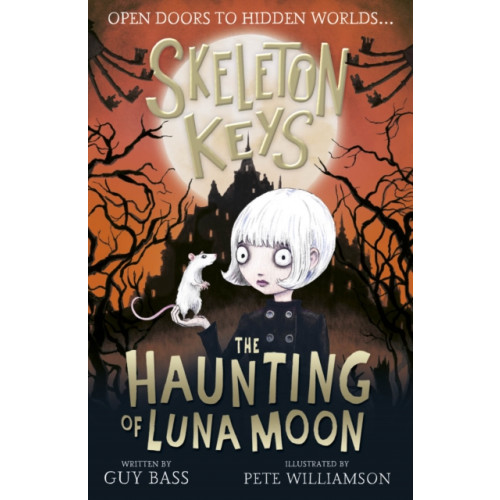 Little Tiger Press Group Skeleton Keys: The Haunting of Luna Moon (häftad, eng)
