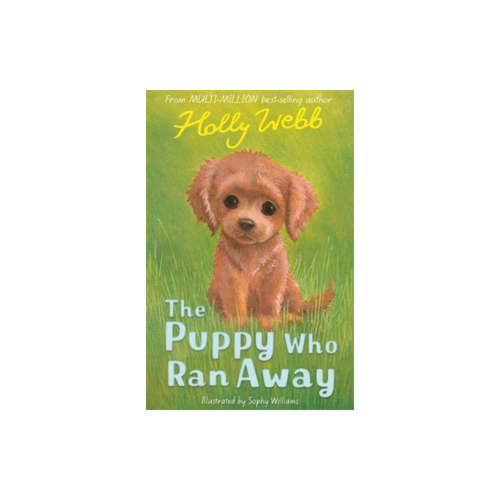 Produktbild för The Puppy Who Ran Away (häftad, eng)