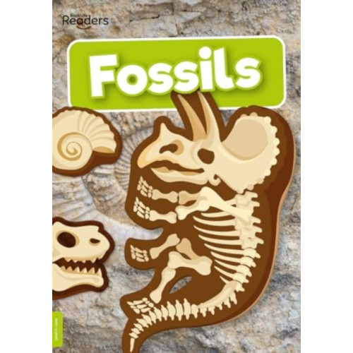 BookLife Publishing Fossils (häftad, eng)