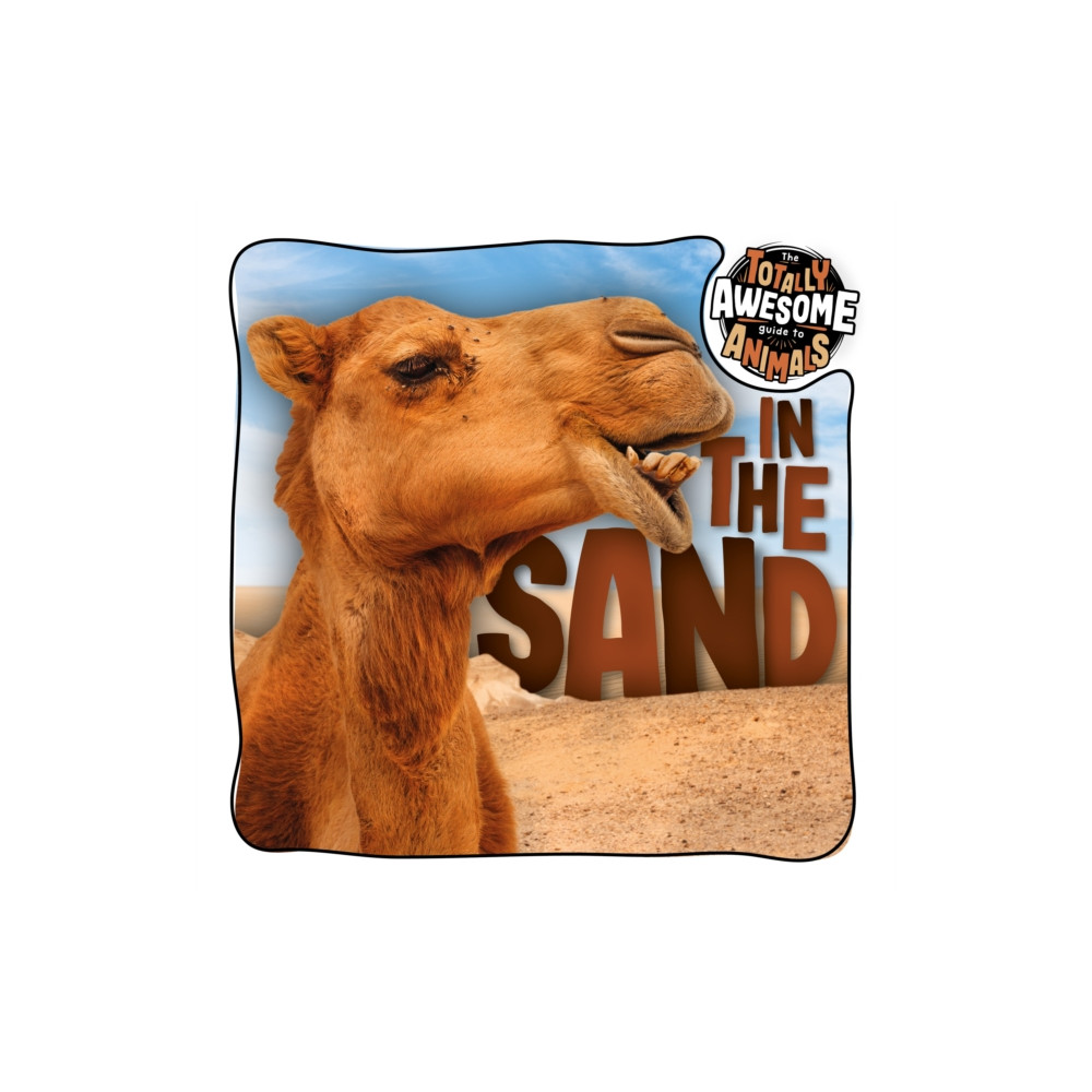 Produktbild för In the Sand (häftad, eng)