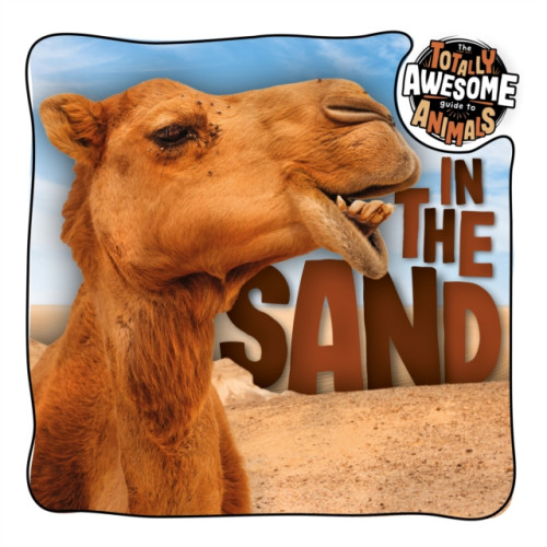 BookLife Publishing In the Sand (häftad, eng)