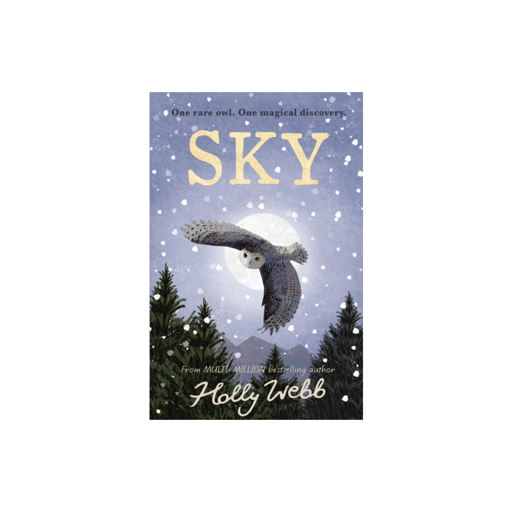 Produktbild för Sky (inbunden, eng)