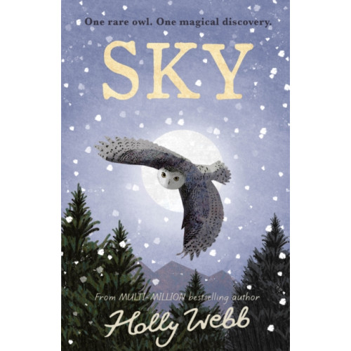 Little Tiger Press Group Sky (inbunden, eng)