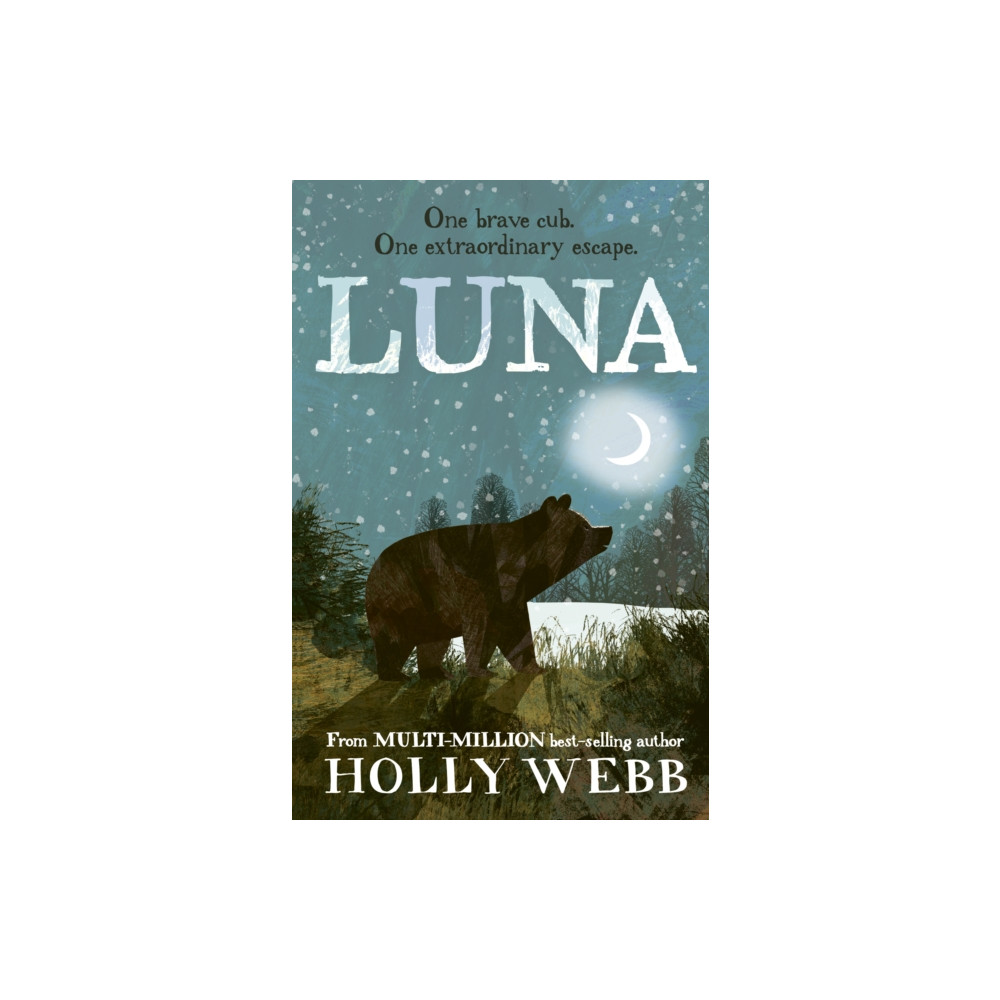 Produktbild för Luna (häftad, eng)