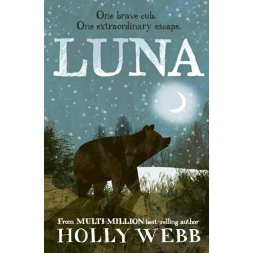 Little Tiger Press Group Luna (häftad, eng)