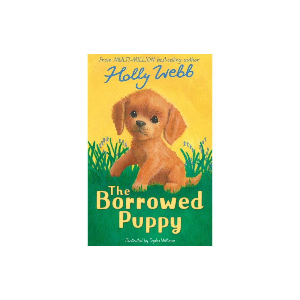 Produktbild för The Borrowed Puppy (häftad, eng)