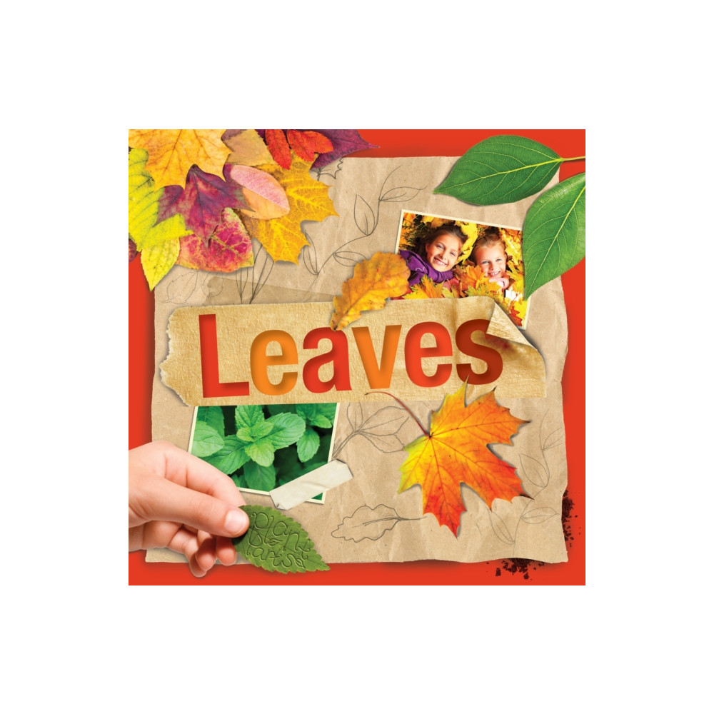 Produktbild för Leaves (häftad, eng)