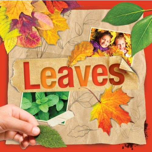 BookLife Publishing Leaves (häftad, eng)