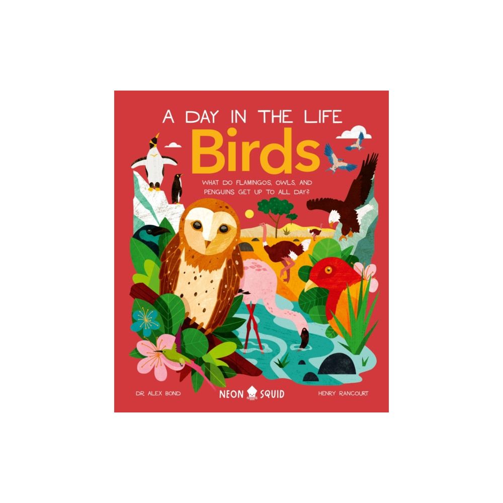 Produktbild för Birds (A Day in the Life) (inbunden, eng)