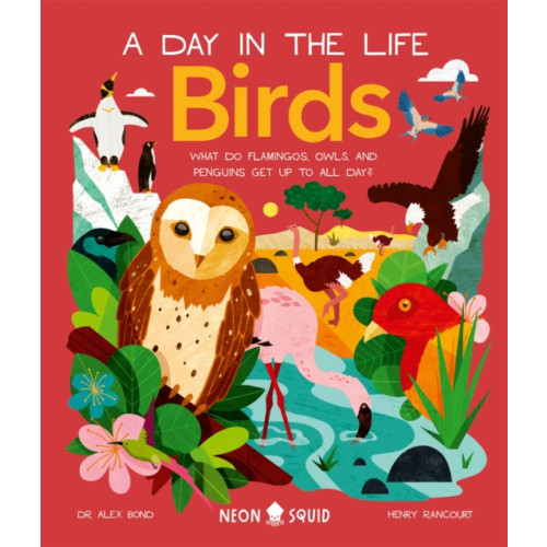 Priddy Books Birds (A Day in the Life) (inbunden, eng)