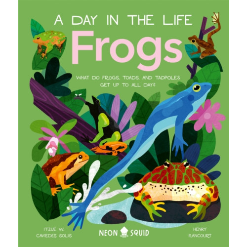 Priddy Books Frogs (A Day in the Life) (inbunden, eng)