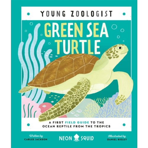 Priddy Books Green Sea Turtle (Young Zoologist) (inbunden, eng)