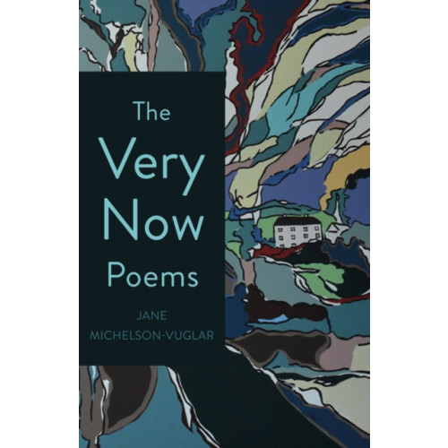 Troubador Publishing The Very Now Poems (häftad, eng)