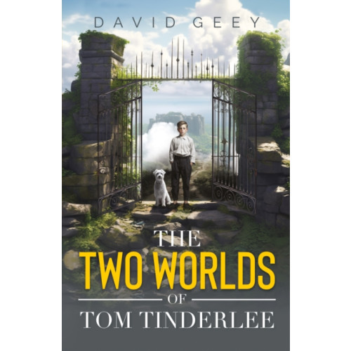 Troubador Publishing The Two Worlds of Tom Tinderlee (häftad, eng)