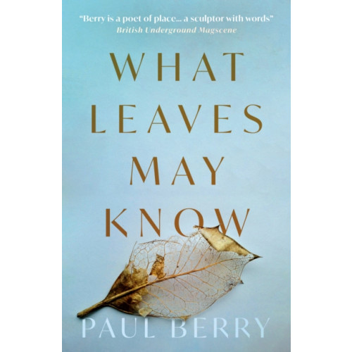 Troubador Publishing What Leaves May Know (häftad, eng)