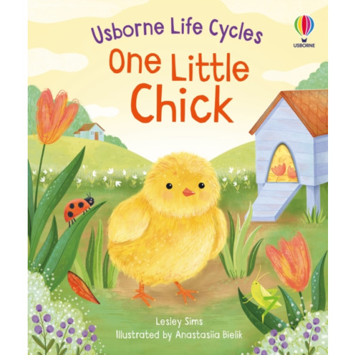 Usborne Publishing Ltd One Little Chick (bok, board book, eng)