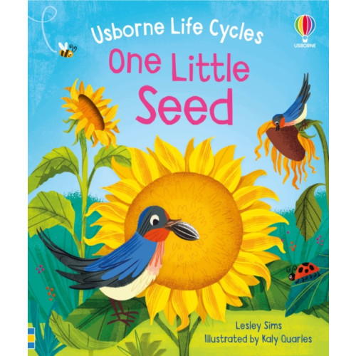 Usborne Publishing Ltd One Little Seed (bok, board book, eng)