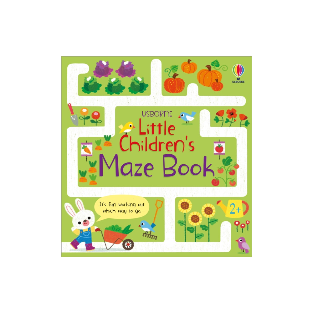 Produktbild för Little Children's Maze Book (häftad, eng)