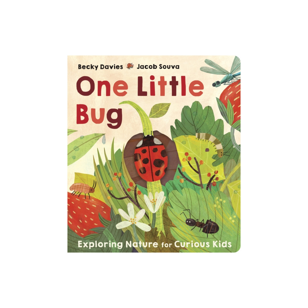 Produktbild för One Little Bug (bok, board book, eng)