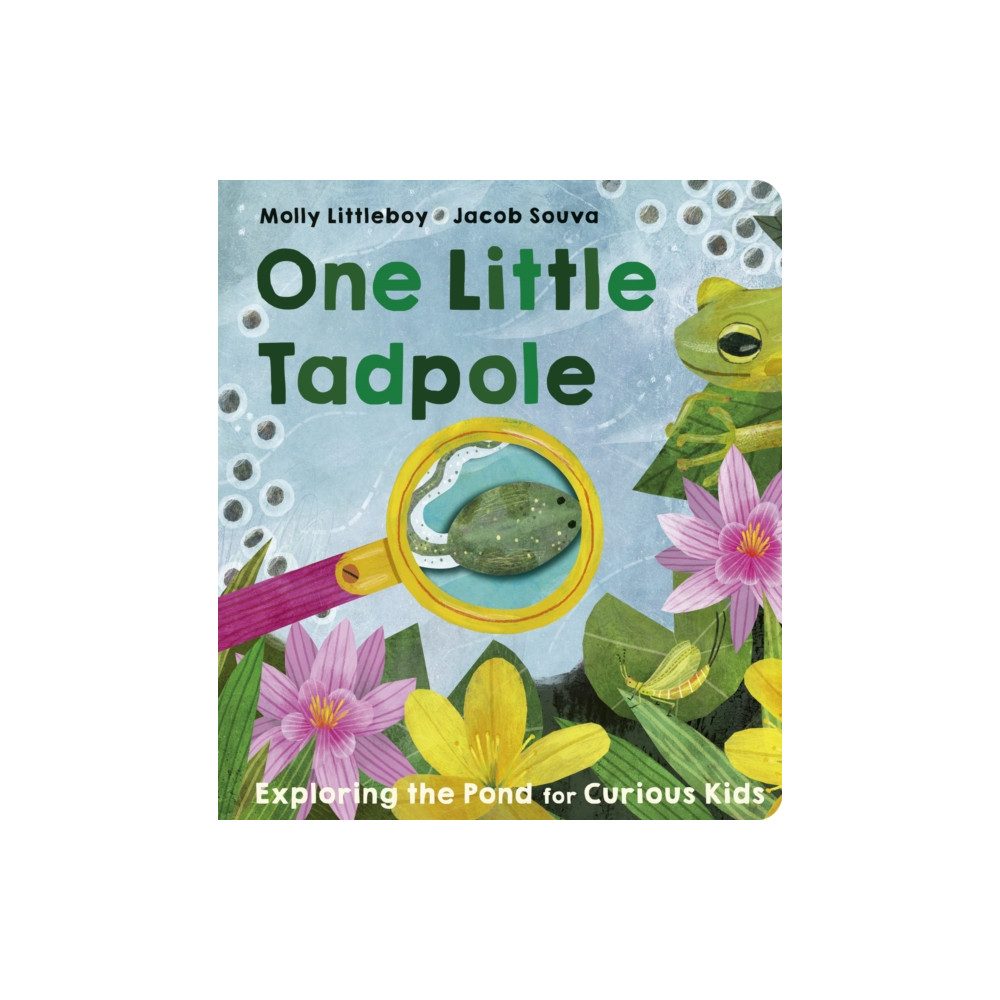 Produktbild för One Little Tadpole (bok, board book, eng)