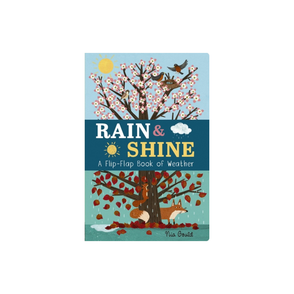 Produktbild för Rain & Shine: A Flip-Flap Book of Weather (bok, board book, eng)