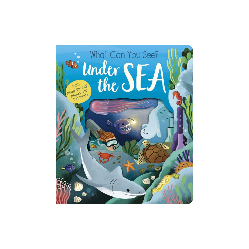 Produktbild för What Can You See? Under the Sea (bok, board book, eng)