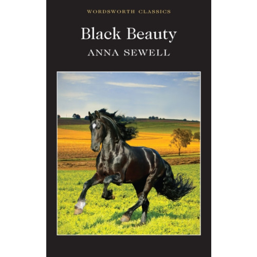 Wordsworth Editions Ltd Black Beauty (häftad, eng)