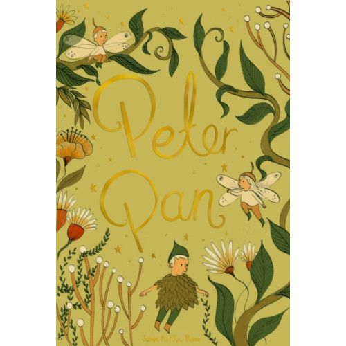 Wordsworth Editions Ltd Peter Pan (inbunden, eng)
