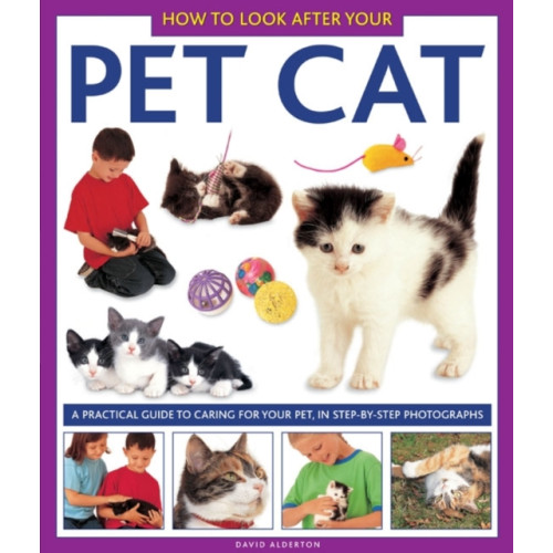 Anness publishing How to Look After Your Pet Cat (inbunden, eng)