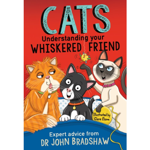 Andersen Press Ltd Cats: Understanding Your Whiskered Friend (häftad, eng)