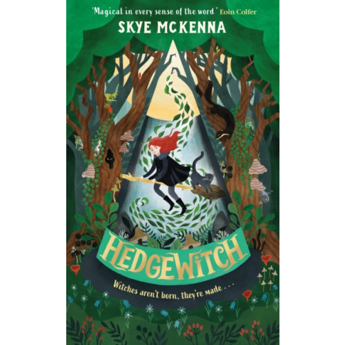 Hachette Children's Group Hedgewitch (inbunden, eng)