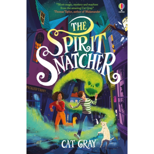 Usborne Publishing Ltd The Spirit Snatcher (häftad, eng)