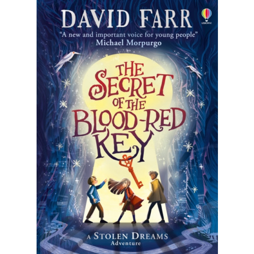 Usborne Publishing Ltd The Secret of the Blood-Red Key (inbunden, eng)
