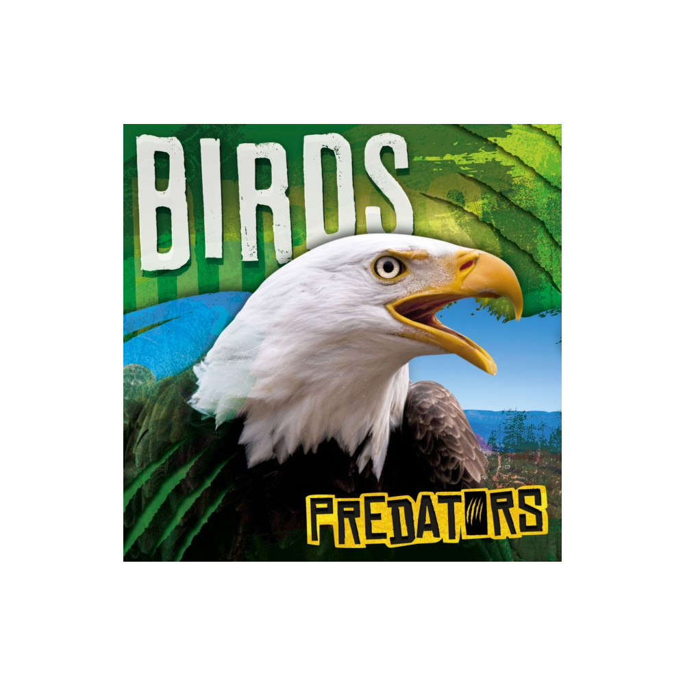 Produktbild för Birds (inbunden, eng)