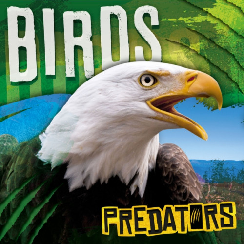 BookLife Publishing Birds (inbunden, eng)