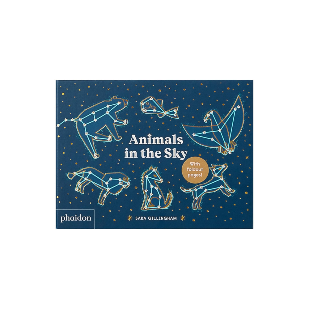 Produktbild för Animals in the Sky (bok, board book, eng)