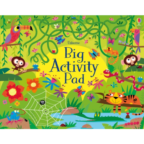 Usborne Publishing Ltd Big Activity Pad (häftad, eng)