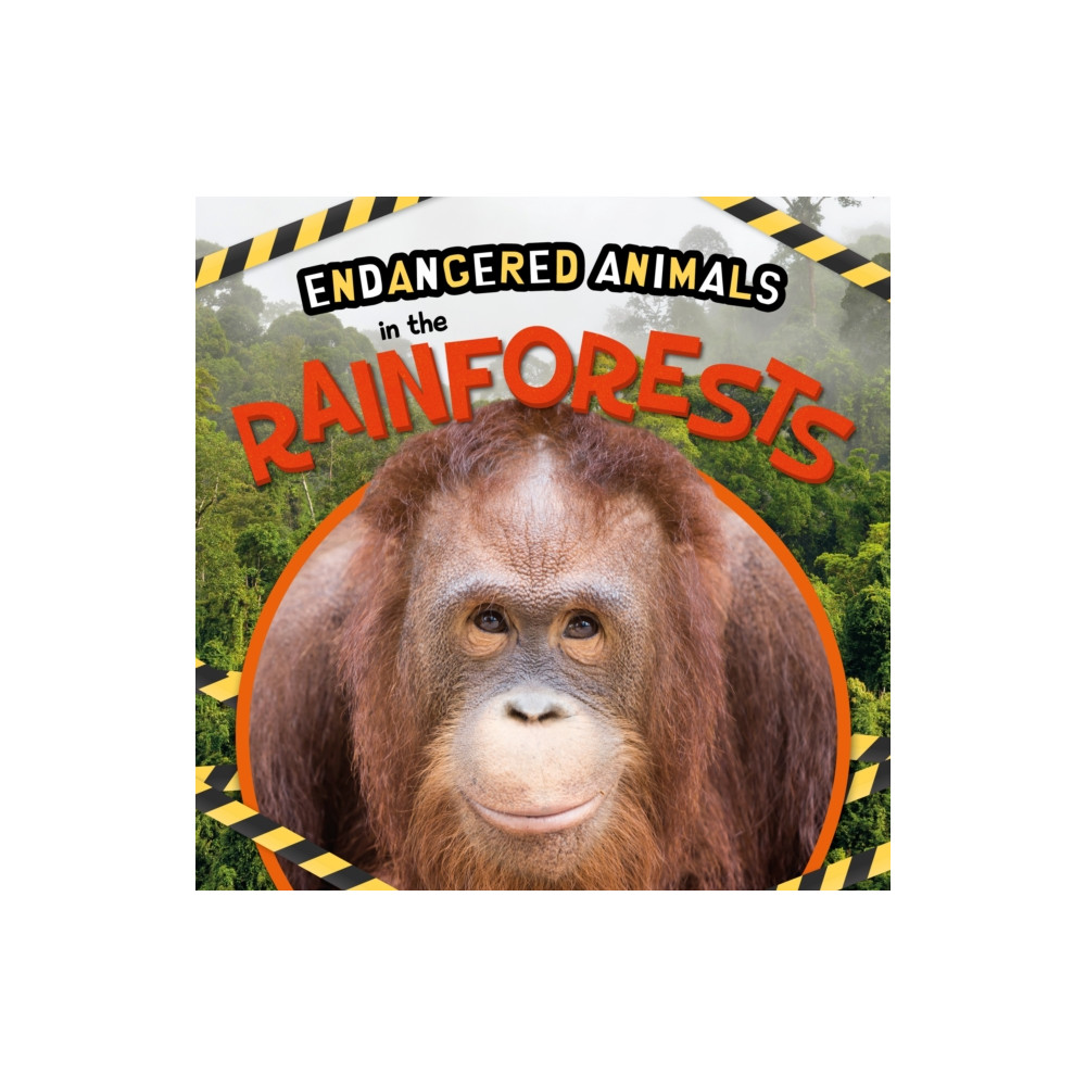 Produktbild för In the Rainforests (inbunden, eng)