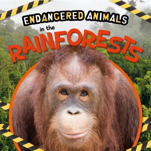 BookLife Publishing In the Rainforests (inbunden, eng)