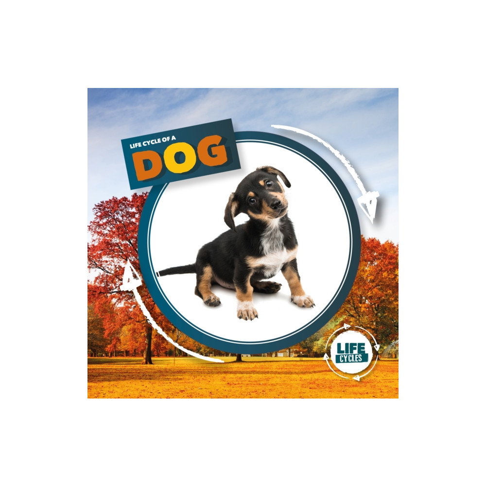 Produktbild för Life Cycle of a Dog (inbunden, eng)