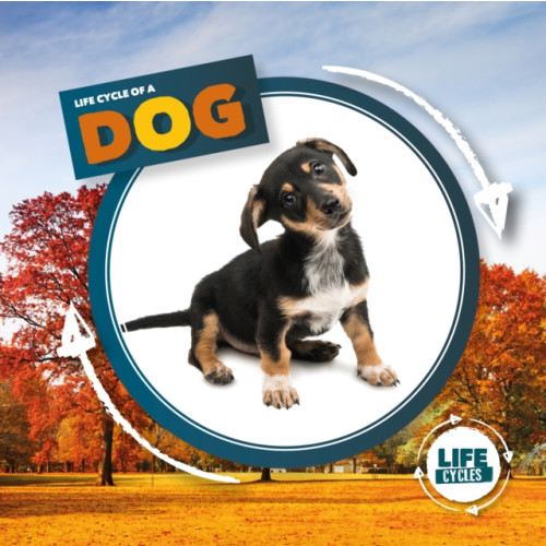 BookLife Publishing Life Cycle of a Dog (inbunden, eng)