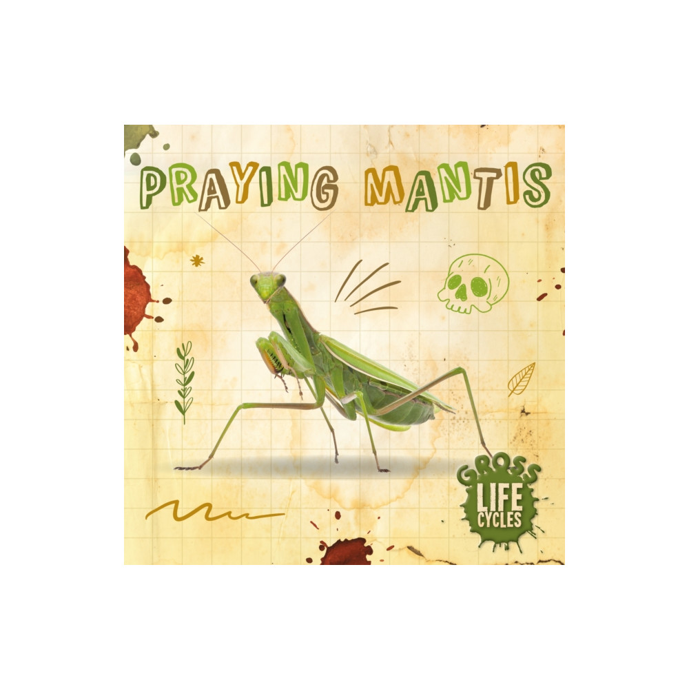 Produktbild för Praying Mantis (inbunden, eng)