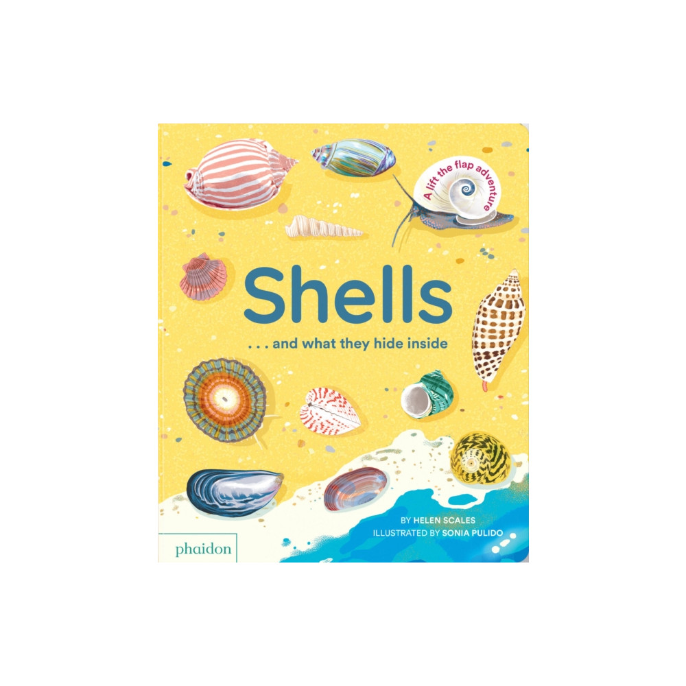 Produktbild för Shells... and what they hide inside (bok, board book, eng)