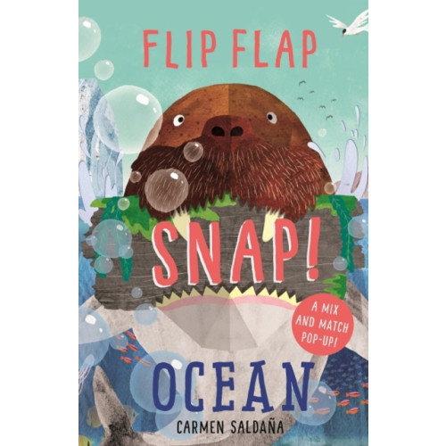 Templar Publishing Flip Flap Snap: Ocean (inbunden, eng)