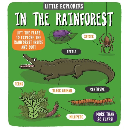 Templar Publishing Little Explorers: In the Rainforest (bok, board book, eng)