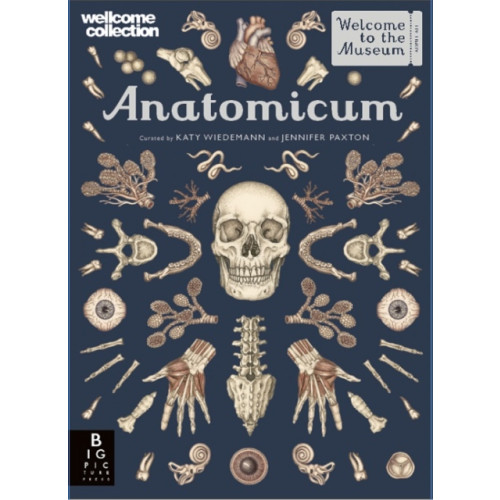 Templar Publishing Anatomicum (inbunden, eng)