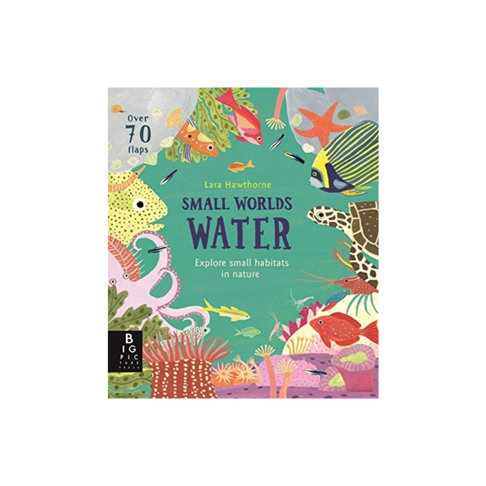 Produktbild för Small Worlds: Water (bok, board book, eng)