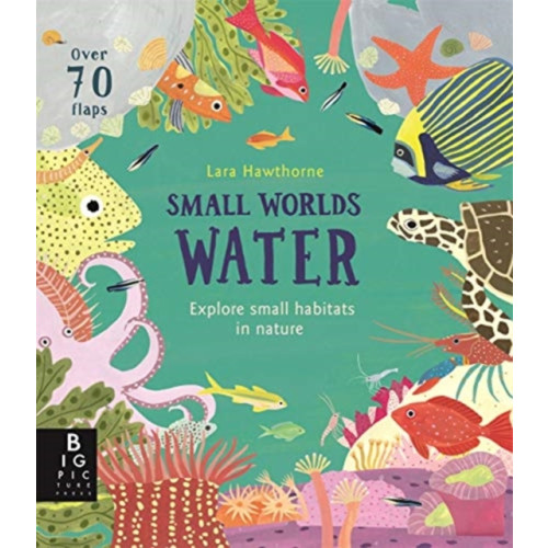 Templar Publishing Small Worlds: Water (bok, board book, eng)